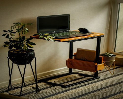 minimalist neatly organized wooden desk setup with laptop and plant